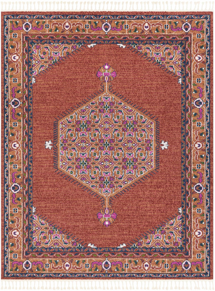 Oban Traditional Style Rust And Pink Area Rug - The Rug Decor