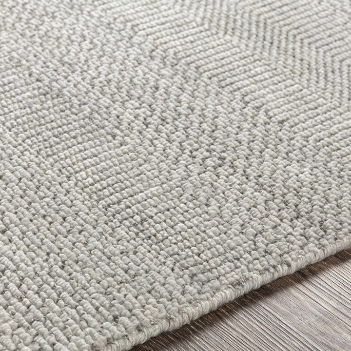 Ocate Gray Modern Style Hand Knotted Area Rug - The Rug Decor