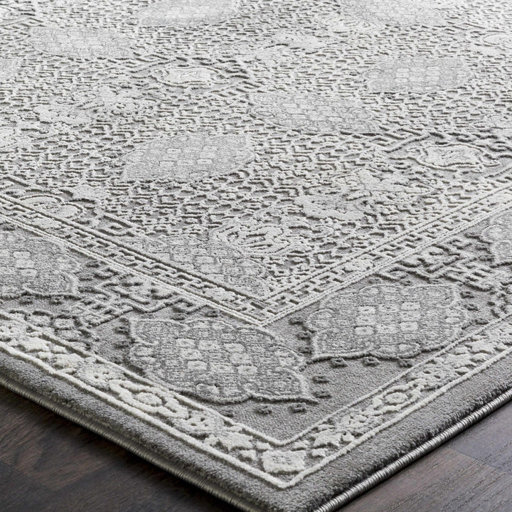 Ordway Gray Traditional Style Area Rug - The Rug Decor