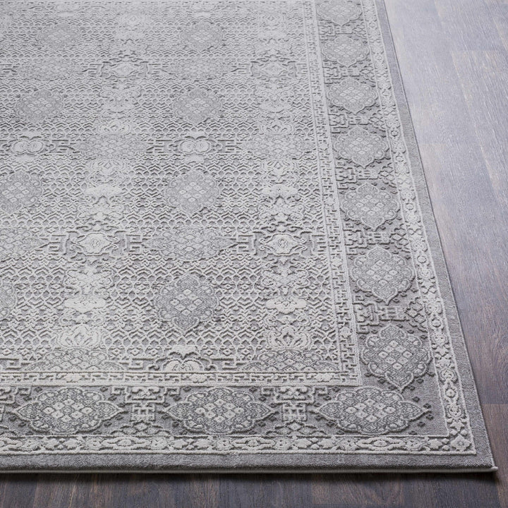 Ordway Gray Traditional Style Area Rug - The Rug Decor