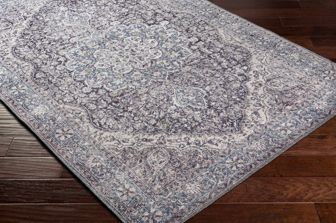 Oriental Medallion Beige, Blue and Violet Multi size Low pile Area Rug - The Rug Decor