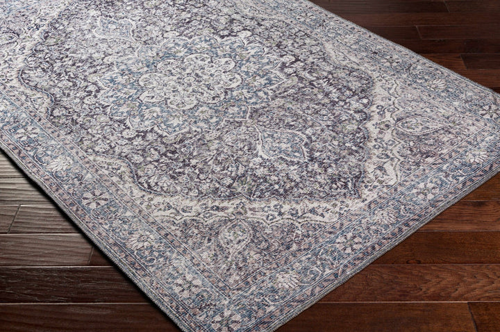 Oriental Medallion Beige, Blue and Violet Multi size Low pile Area Rug - The Rug Decor