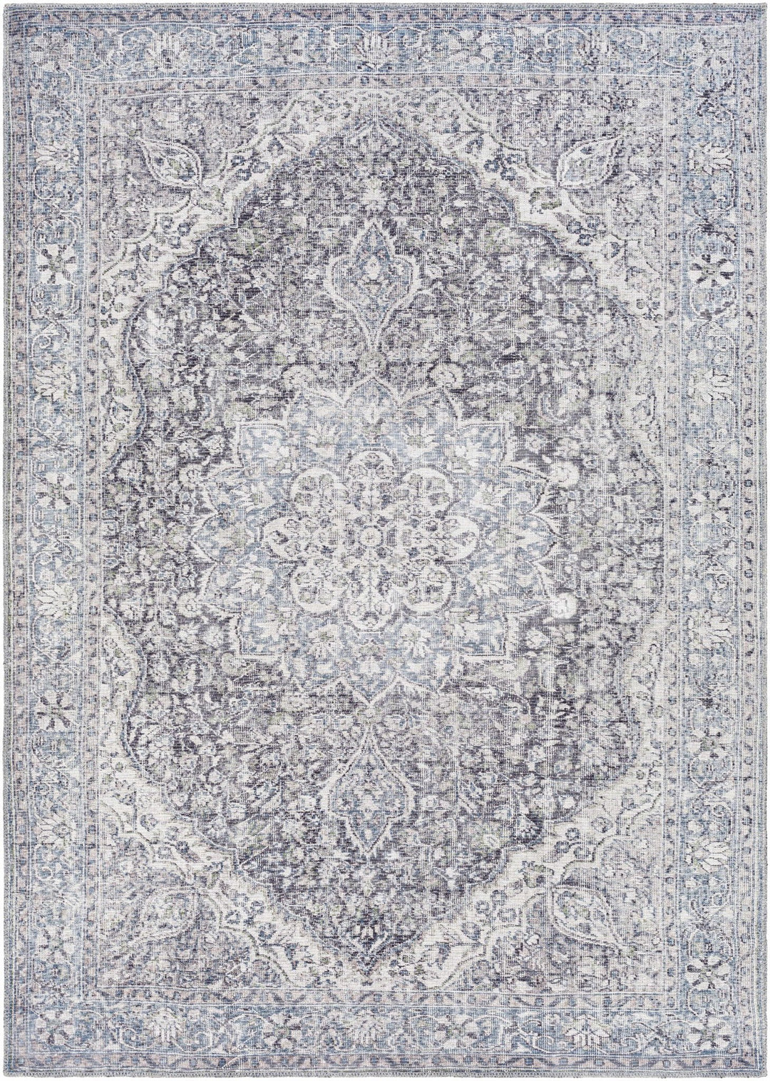 Oriental Medallion Beige, Blue and Violet Multi size Low pile Area Rug - The Rug Decor