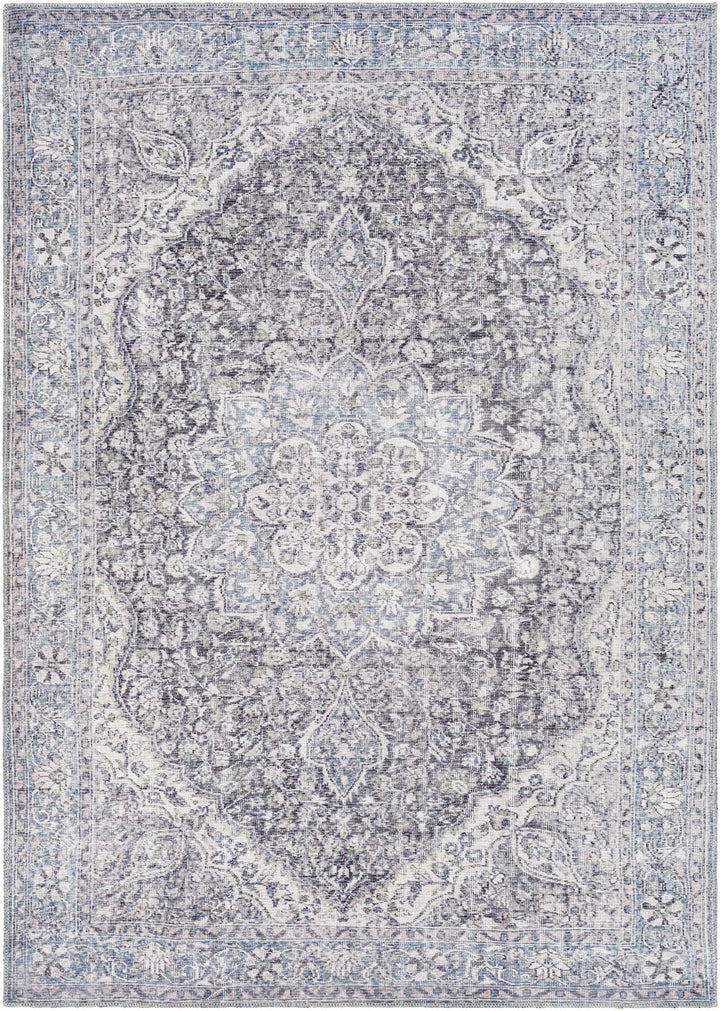 Oriental Medallion Beige, Blue and Violet Multi size Low pile Area Rug - The Rug Decor