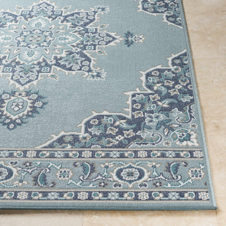 Orla Traditional Medallion Design Blue Outdoor Area Rug