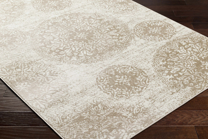 Osman Modern Style Ivory And Brown Area Rug