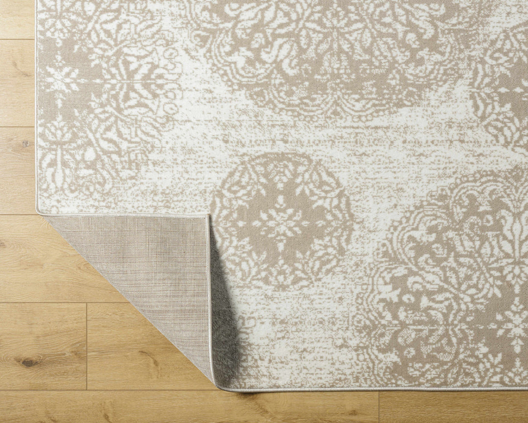 Osman Modern Style Ivory And Brown Area Rug
