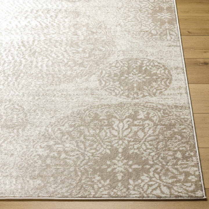 Osman Modern Style Ivory And Brown Area Rug