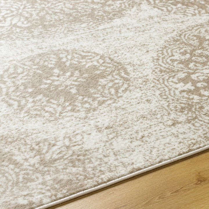 Osman Modern Style Ivory And Brown Area Rug