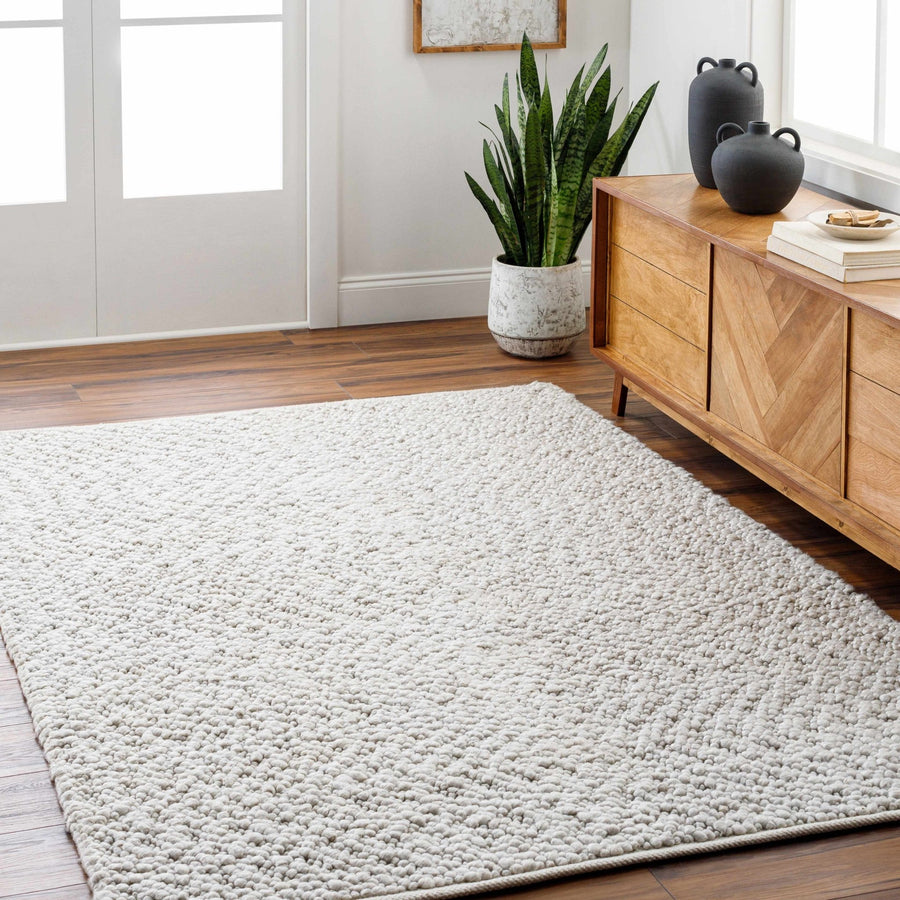 Oved Contemporary Style Beige Hand Woven Area Rug - The Rug Decor
