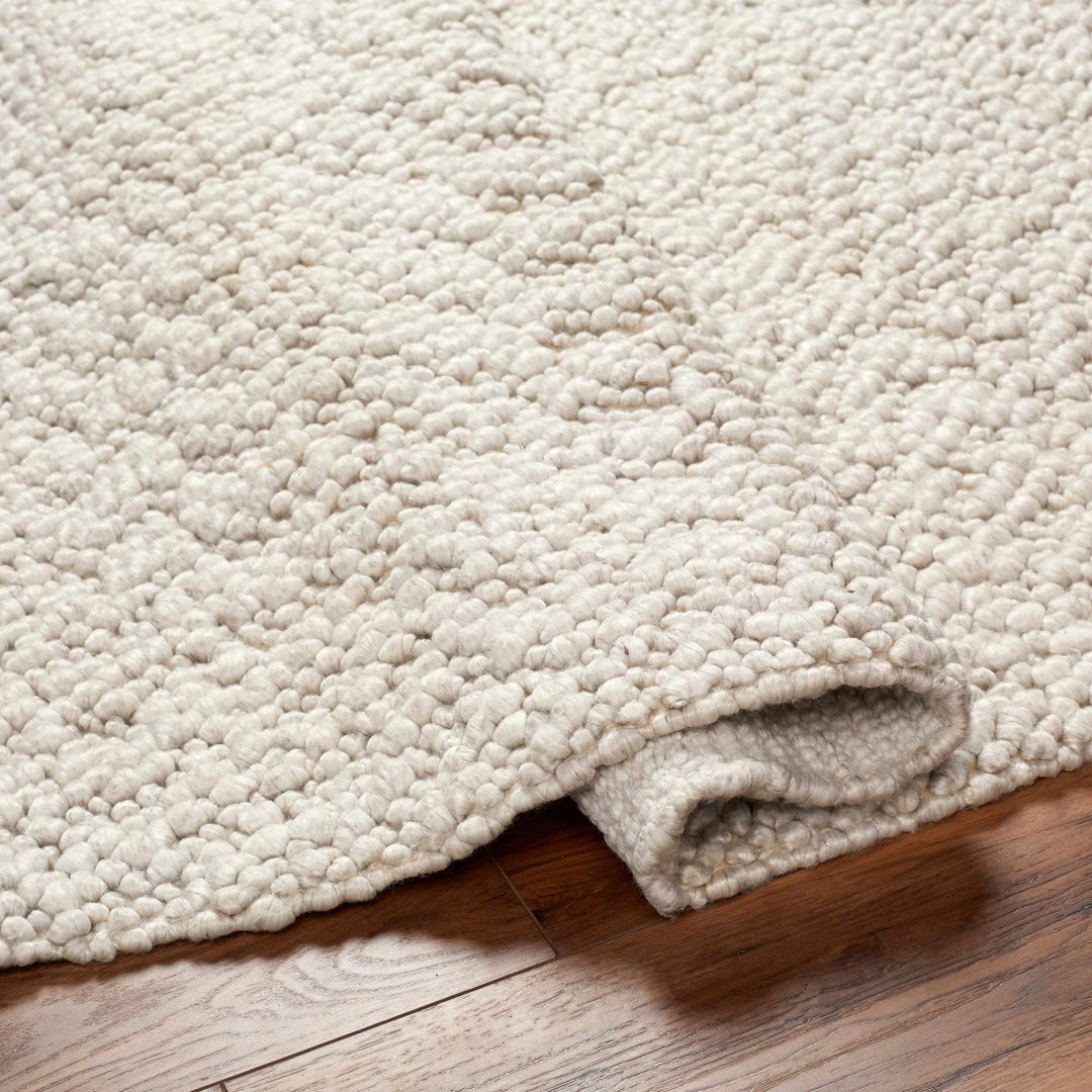 Oved Contemporary Style Beige Hand Woven Area Rug - The Rug Decor