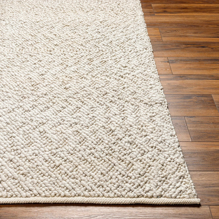 Oved Contemporary Style Beige Hand Woven Area Rug - The Rug Decor