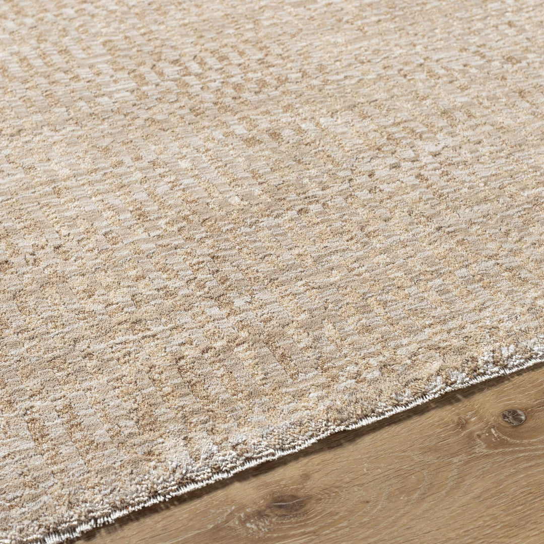 Pabla Modern Style Beige Area Rug - The Rug Decor
