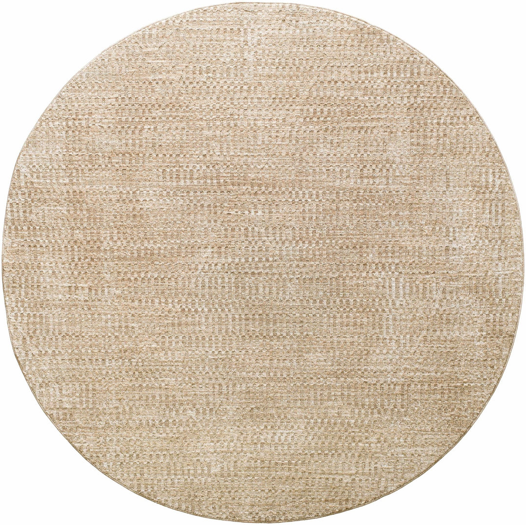 Pabla Modern Style Beige Area Rug - The Rug Decor