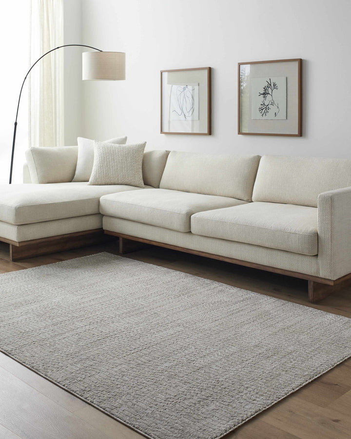 Pabla Modern Style Gray Area Rug - The Rug Decor