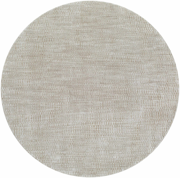 Pabla Modern Style Gray Area Rug - The Rug Decor