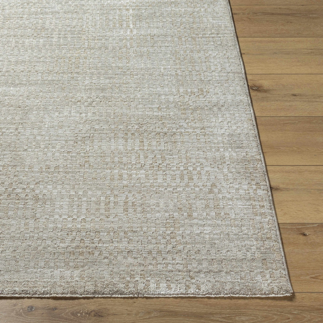 Pabla Modern Style Gray Area Rug - The Rug Decor