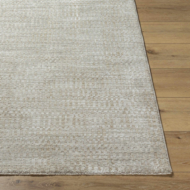 Pabla Modern Style Gray Area Rug - The Rug Decor