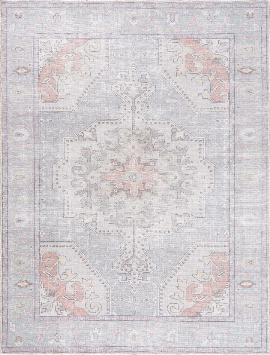 Pacay Traditional Style Gray And Rust Area Rug - The Rug Decor