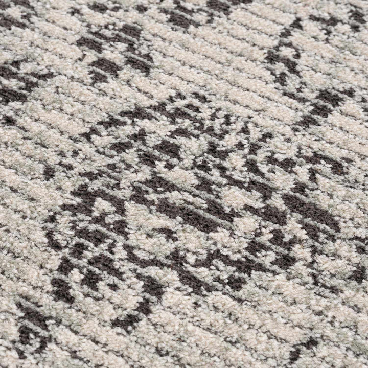 Paicines Traditional Floral Design Ivory And Charcoal Area Rug - The Rug Decor