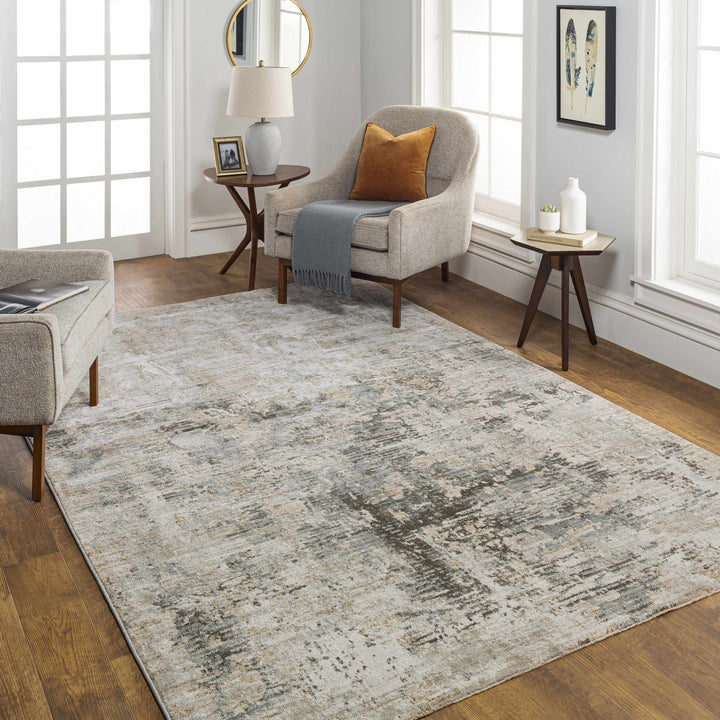 Palanit Modern Abstract Design Gray And Beige Area Rug - The Rug Decor