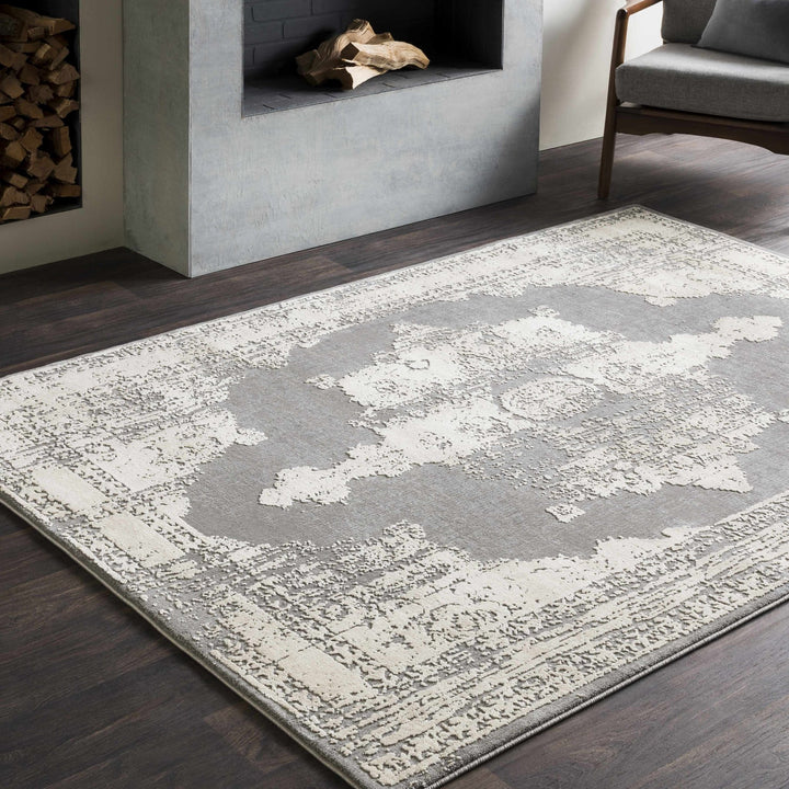 Paola Traditional Style Gray And Beige Area Rug - The Rug Decor