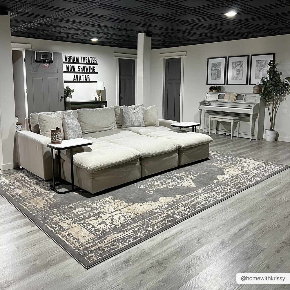 Paola Traditional Style Gray And Beige Area Rug - The Rug Decor