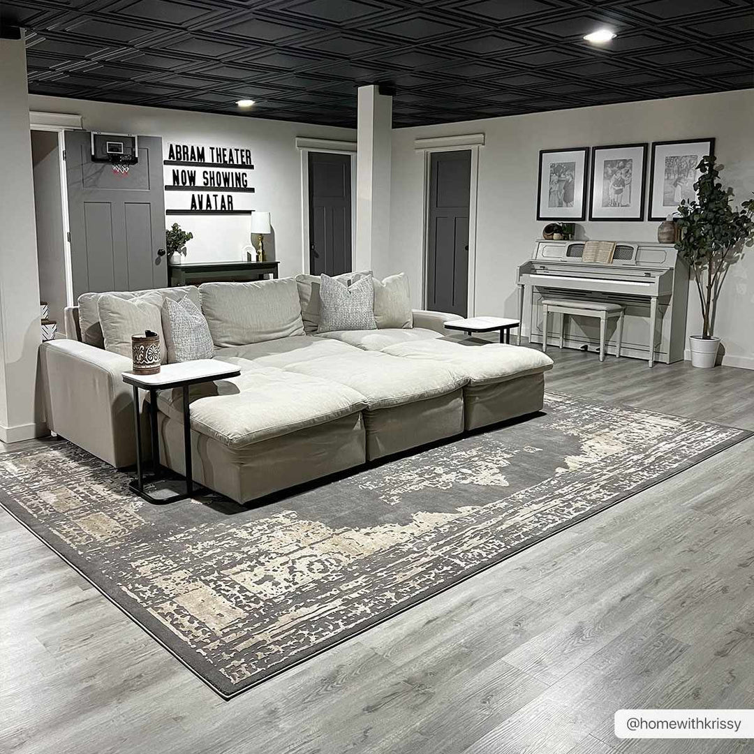 Paola Traditional Style Gray And Beige Area Rug - The Rug Decor