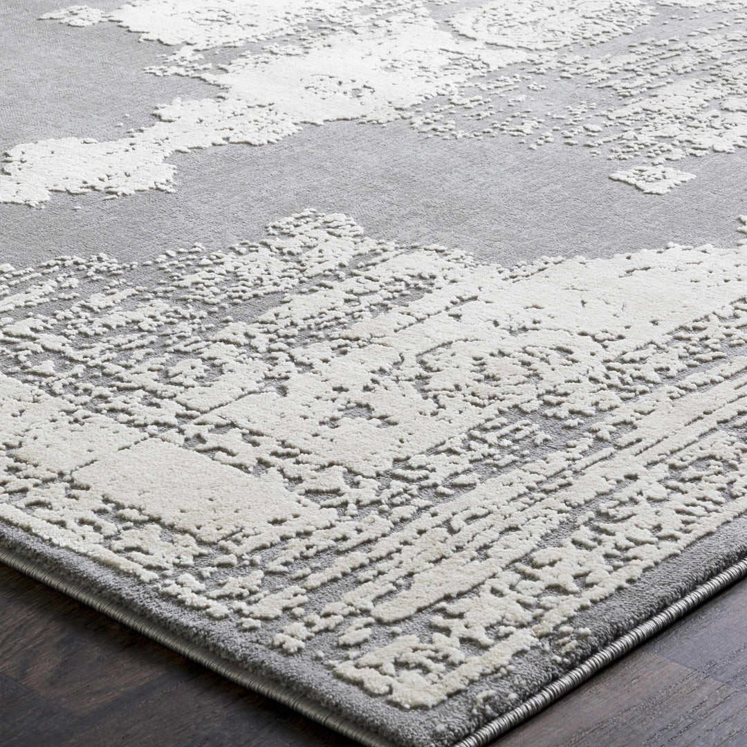 Paola Traditional Style Gray And Beige Area Rug - The Rug Decor