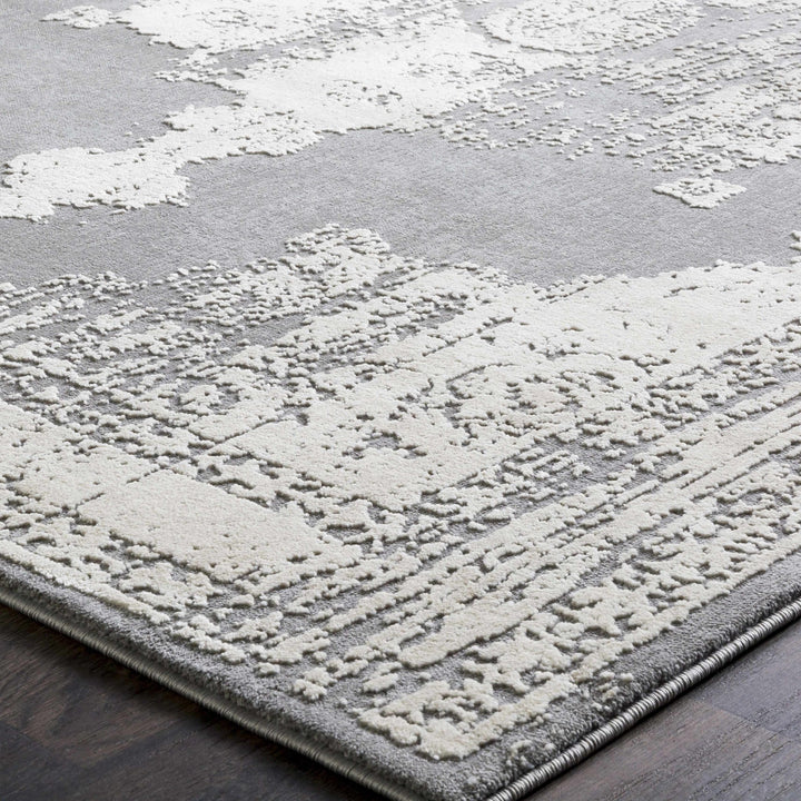 Paola Traditional Style Gray And Beige Area Rug - The Rug Decor