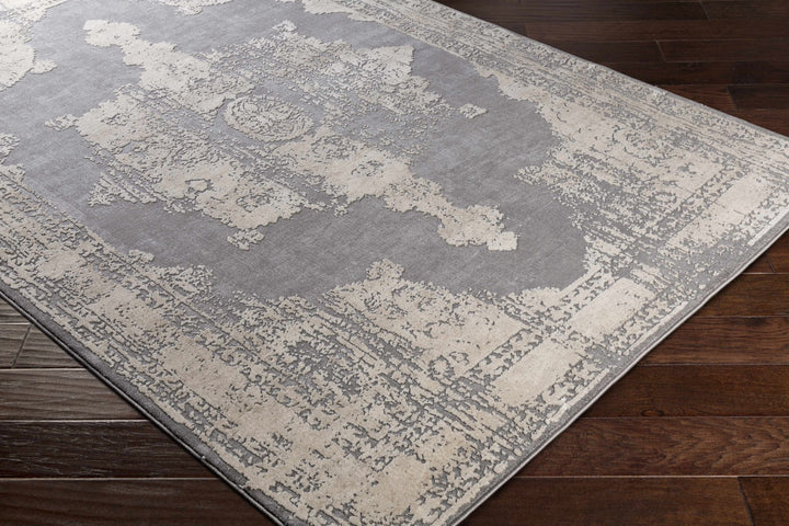 Paola Traditional Style Gray And Beige Area Rug - The Rug Decor