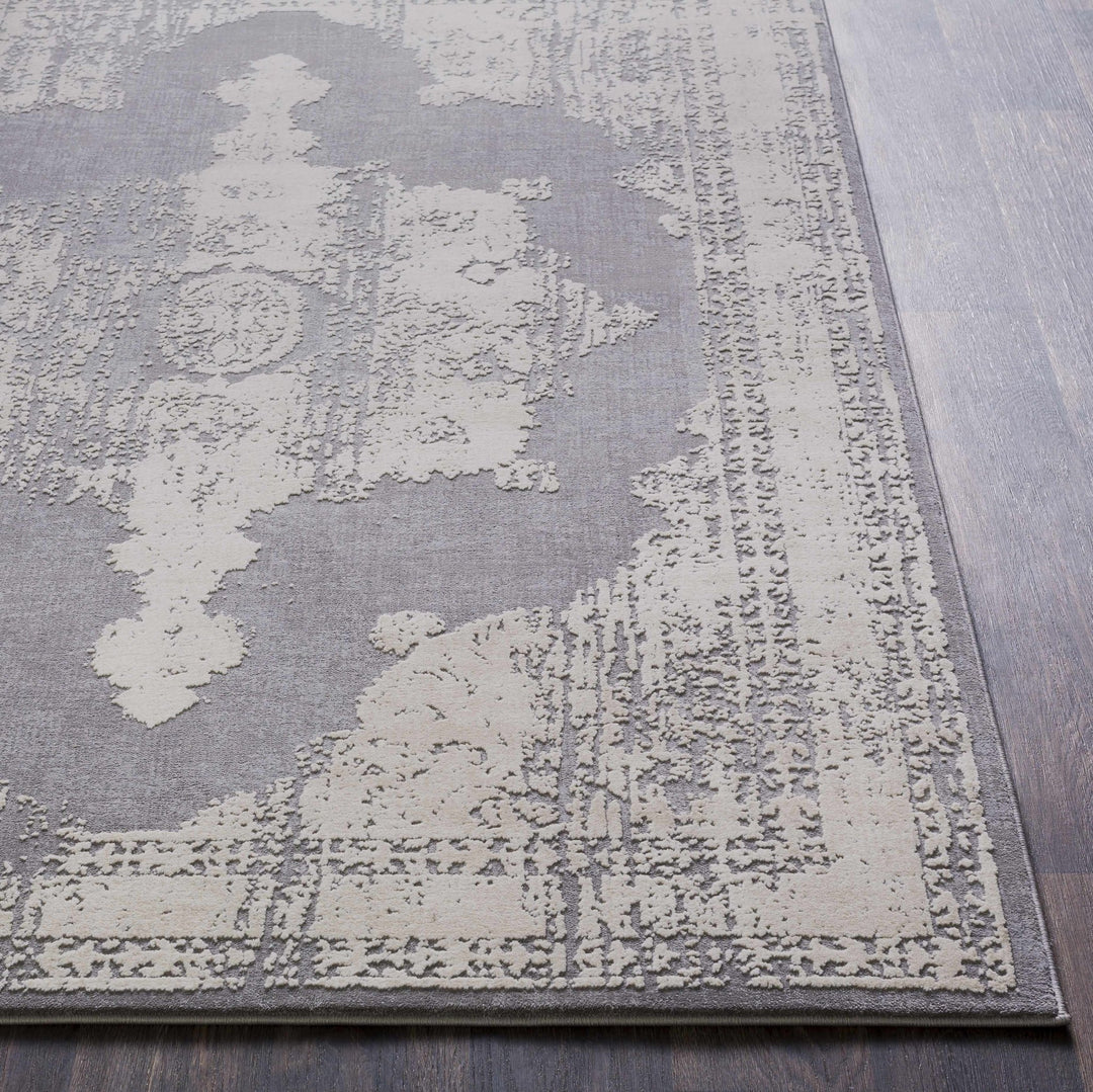 Paola Traditional Style Gray And Beige Area Rug - The Rug Decor