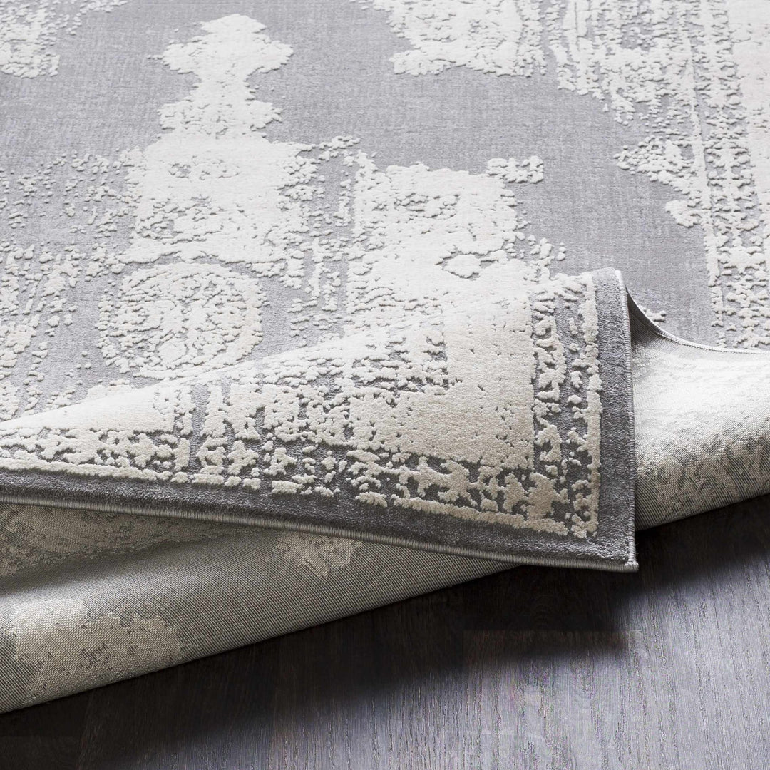 Paola Traditional Style Gray And Beige Area Rug - The Rug Decor