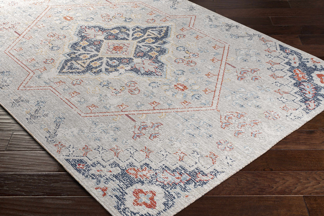 Papineauville Traditional Style Gray And Blue Outdoor Area Rug