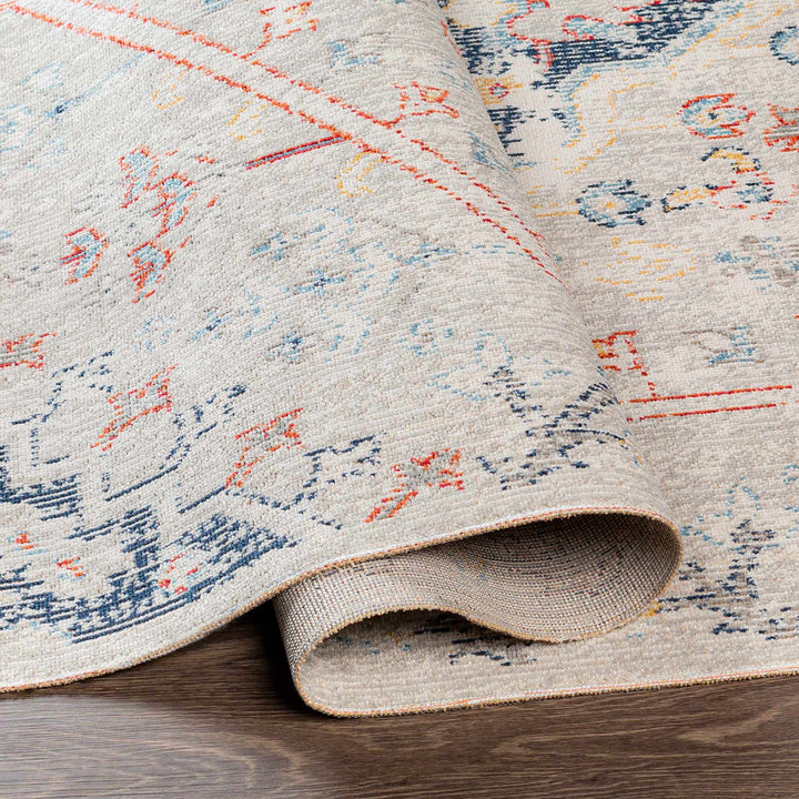 Papineauville Traditional Style Gray And Blue Outdoor Area Rug