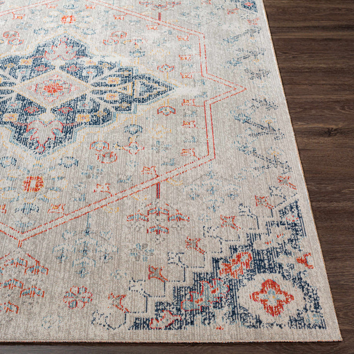 Papineauville Traditional Style Gray And Blue Outdoor Area Rug