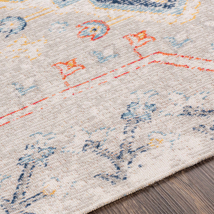 Papineauville Traditional Style Gray And Blue Outdoor Area Rug