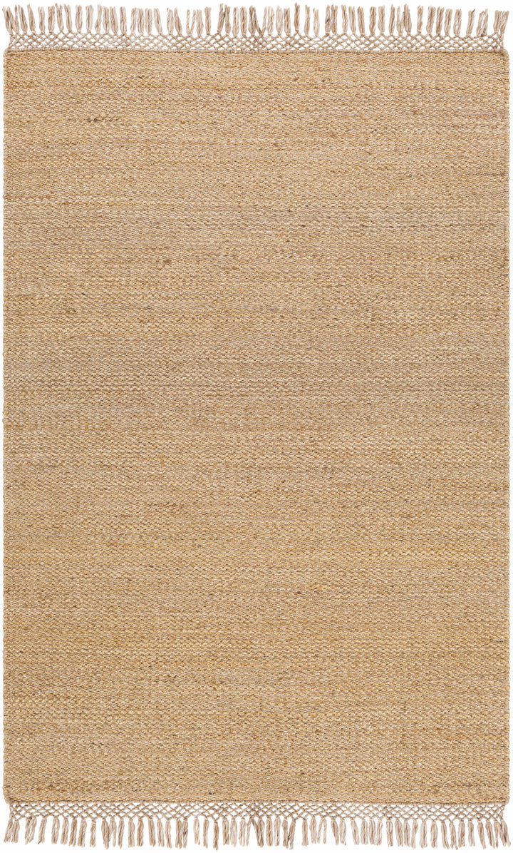 Partoun Modern Style Tan Hand Woven Area Rug