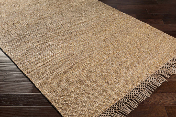Partoun Modern Style Tan Hand Woven Area Rug