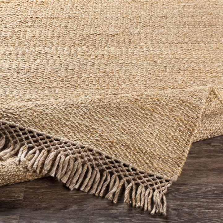 Partoun Modern Style Tan Hand Woven Area Rug