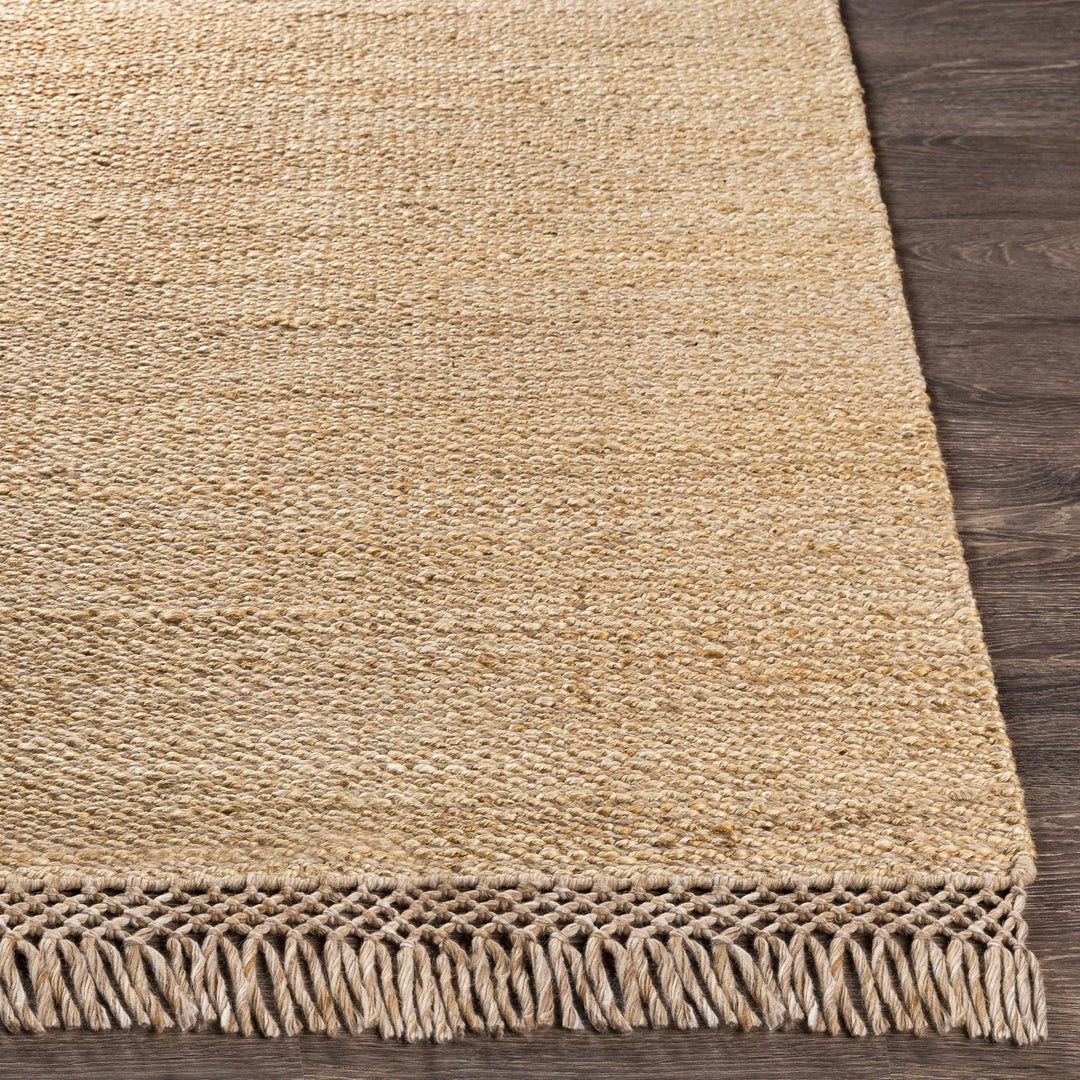 Partoun Modern Style Tan Hand Woven Area Rug