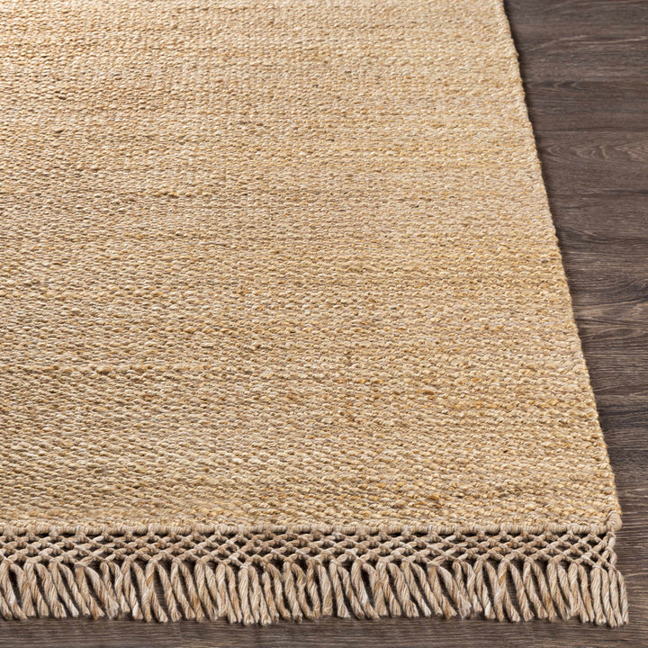 Partoun Modern Style Tan Hand Woven Area Rug