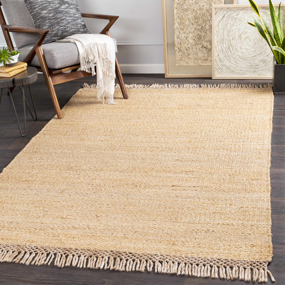 Partoun Modern Style Tan Hand Woven Area Rug