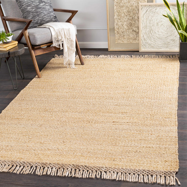 Partoun Modern Style Tan Hand Woven Area Rug