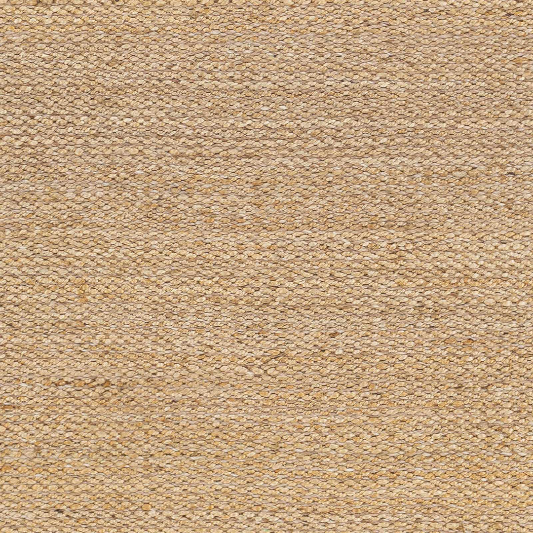 Partoun Modern Style Tan Hand Woven Area Rug
