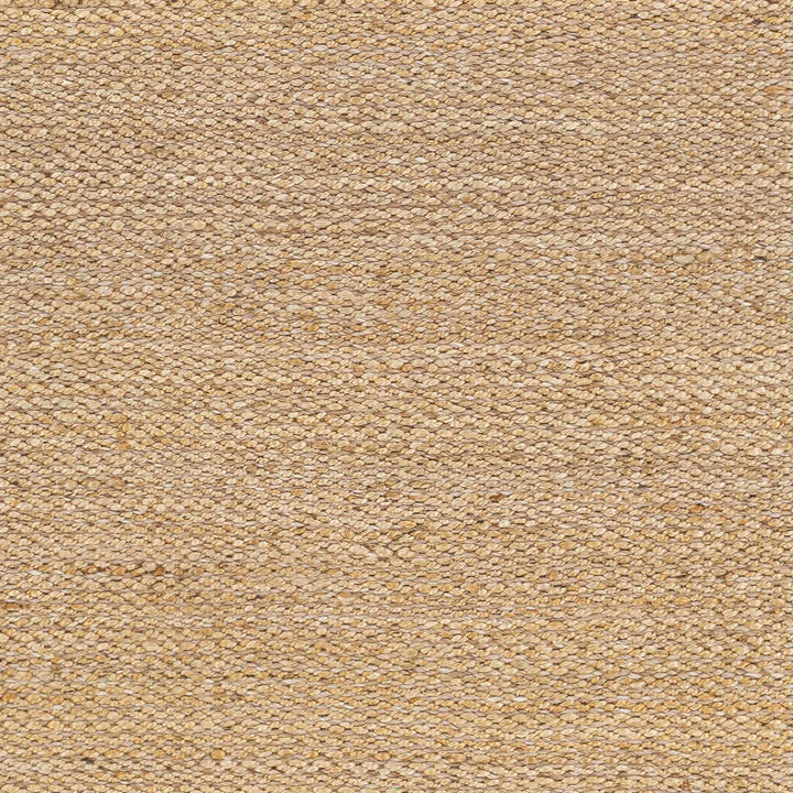 Partoun Modern Style Tan Hand Woven Area Rug