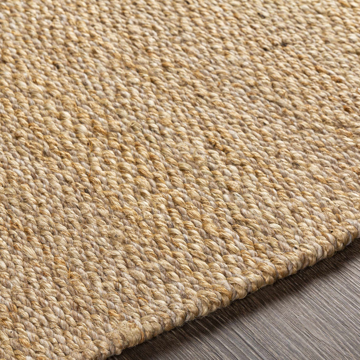 Partoun Modern Style Tan Hand Woven Area Rug