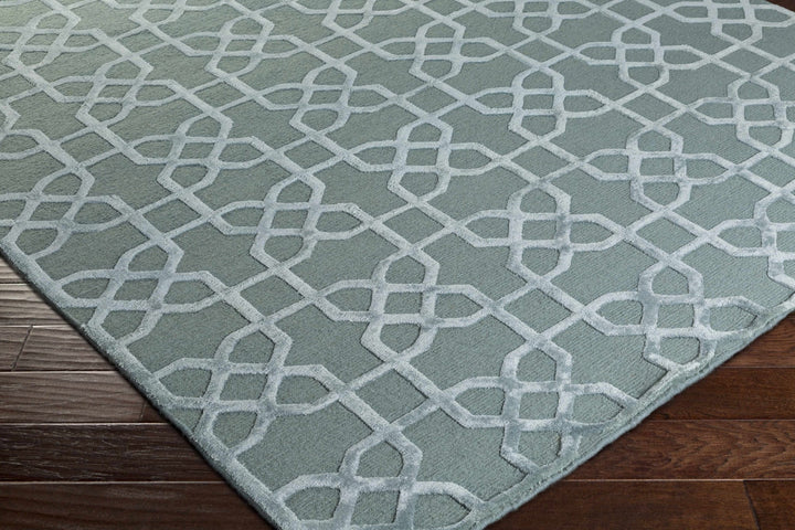Paskenta Geometrical Gray Sage Area Rug - The Rug Decor