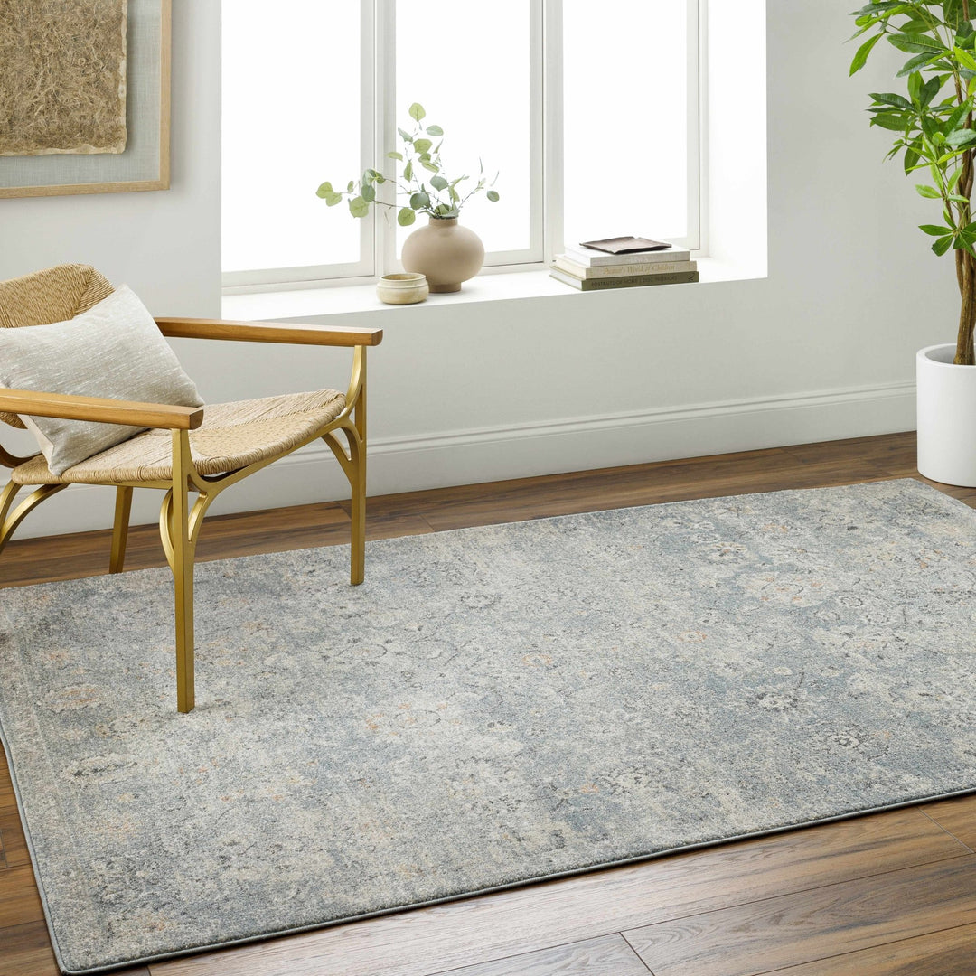 Pavan Gray Traditional washed out Area Rug - The Rug Decor