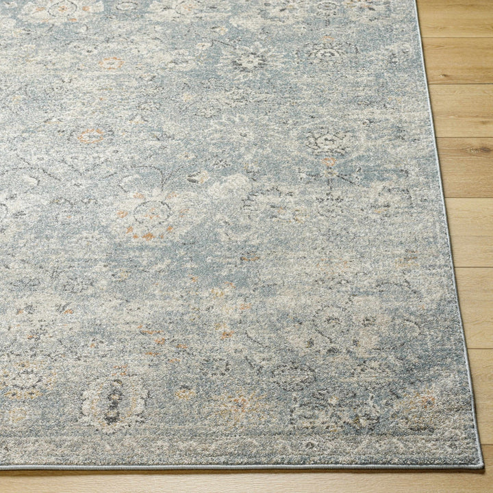 Pavan Gray Traditional washed out Area Rug - The Rug Decor
